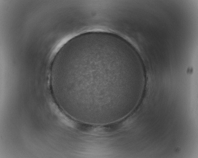 X0000111901367200907271147