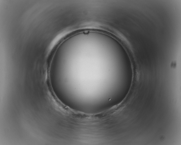 X0000111901368200907271147