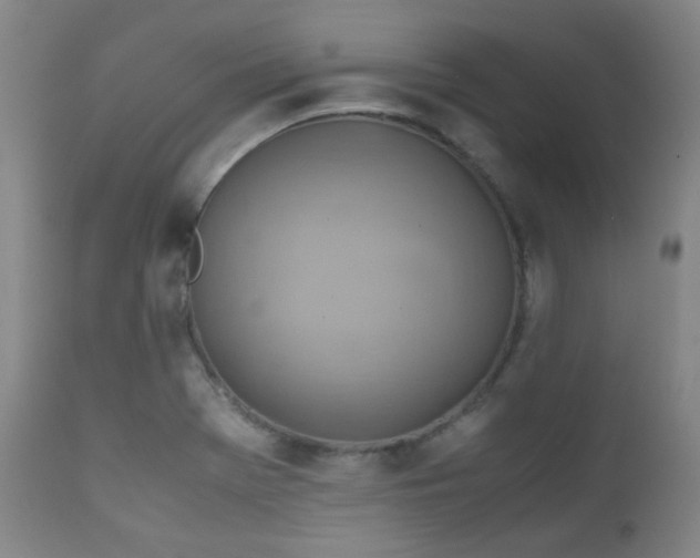X0000111901369200907271147