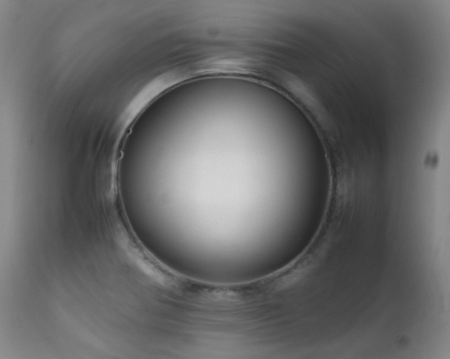 X0000111901370200907271147