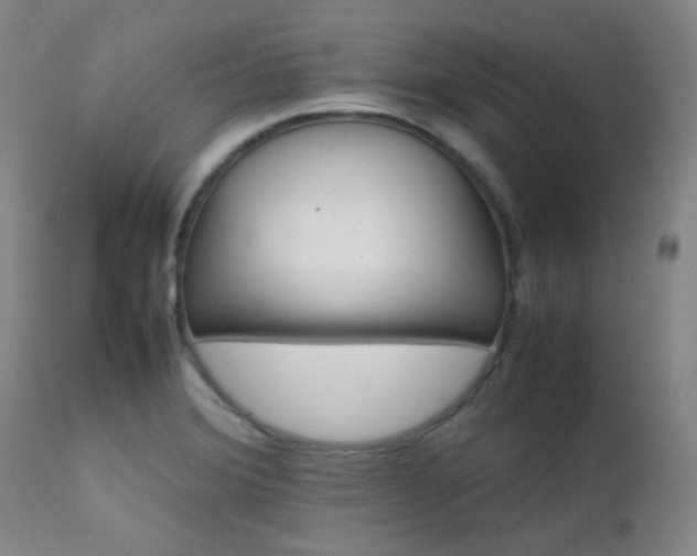X0000111901372200907271147