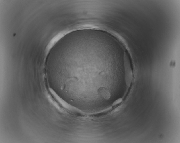 X0000111901373200907271147