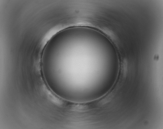 X0000111901374200907271147