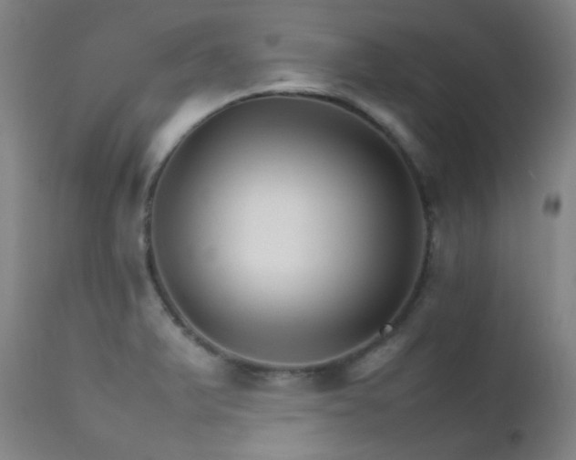 X0000111901375200907271147