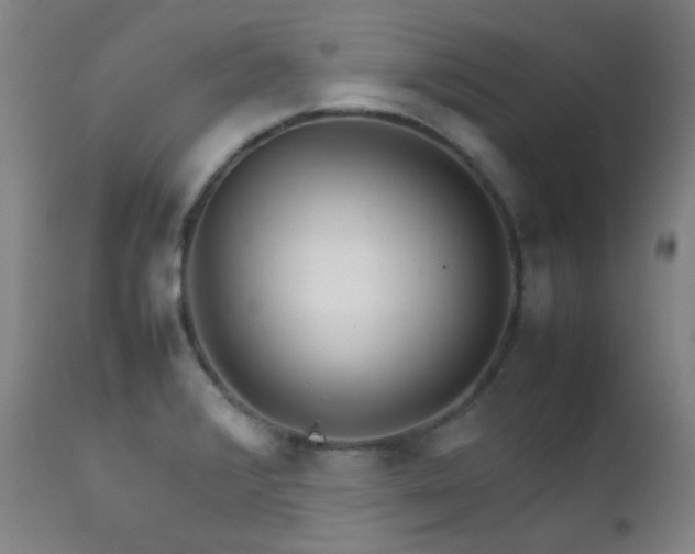 X0000111901376200907271147