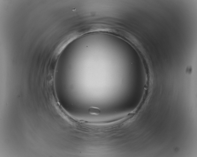 X0000111901377200907271147