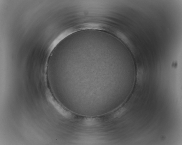 X0000111901378200907271147