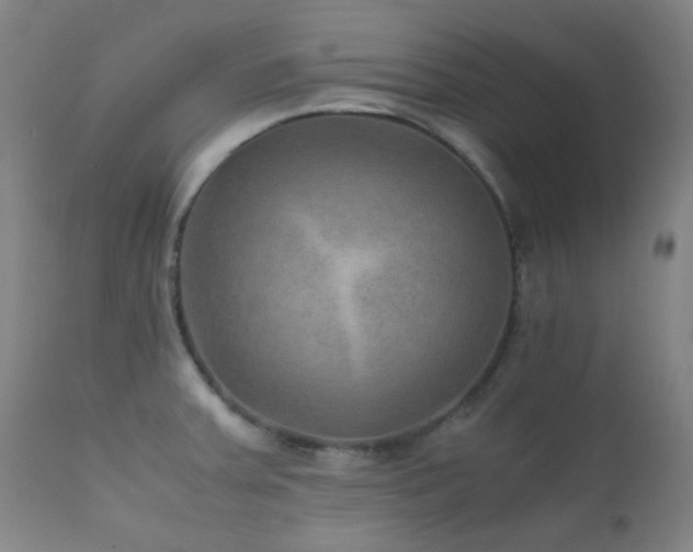 X0000111901379200907271147
