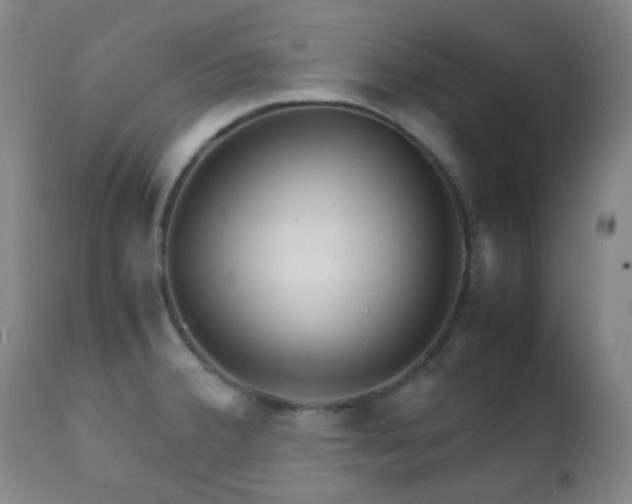 X0000111901380200907271147