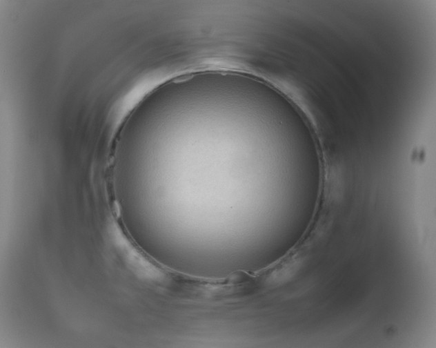 X0000111901381200907271147