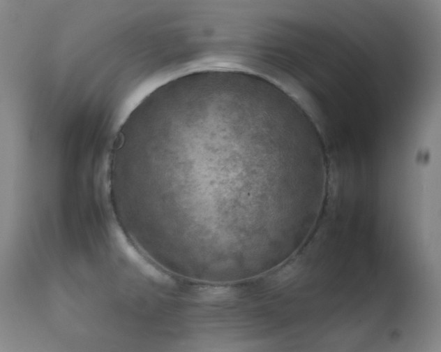 X0000111901382200907271147