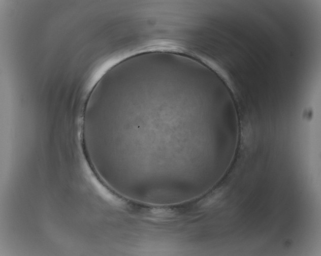 X0000111901383200907271147