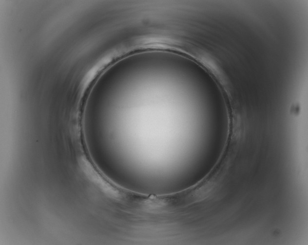 X0000111901384200907271147