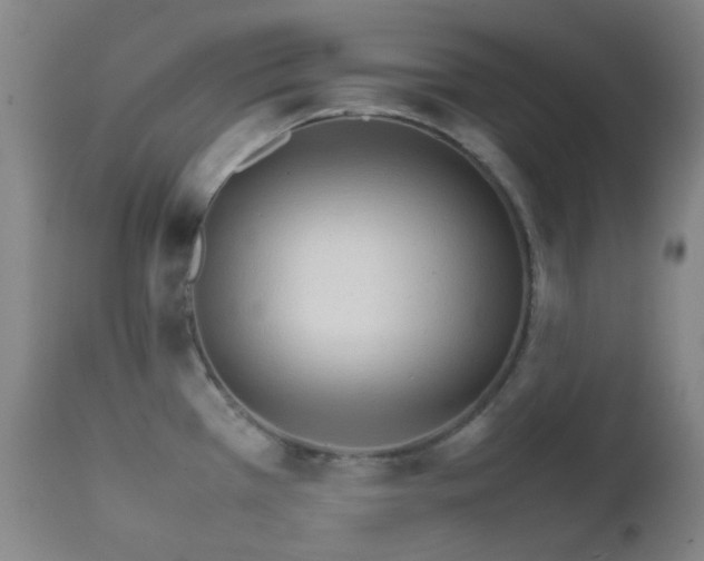 X0000111901385200907271147