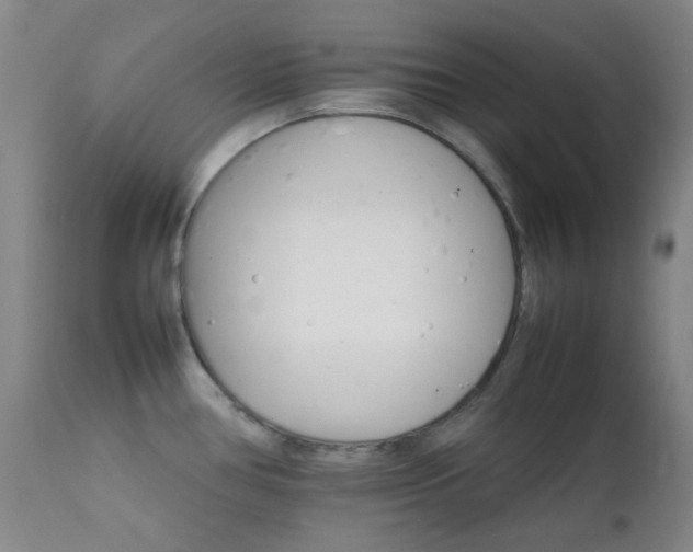 X0000111901386200907271147