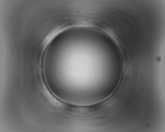 X0000111901387200907271147