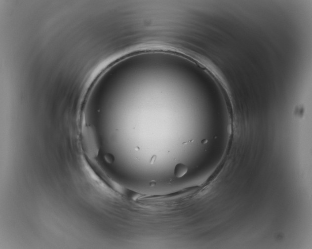 X0000111901388200907271147