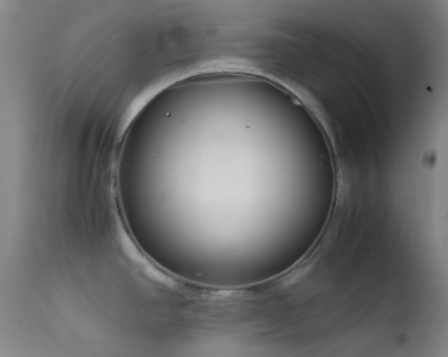 X0000111901390200907271147