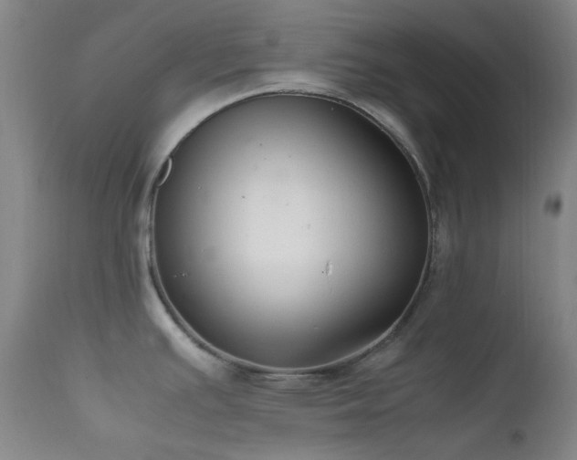 X0000111901391200907271147