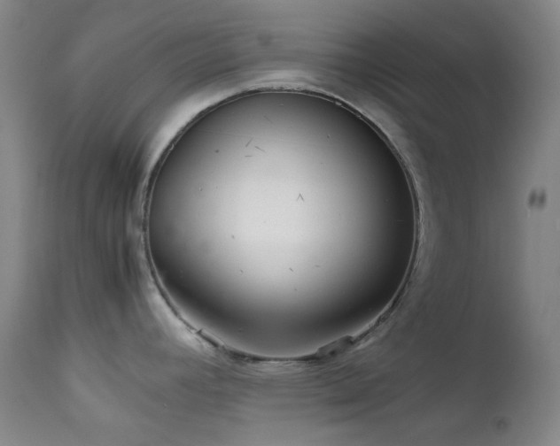X0000111901392200907271147
