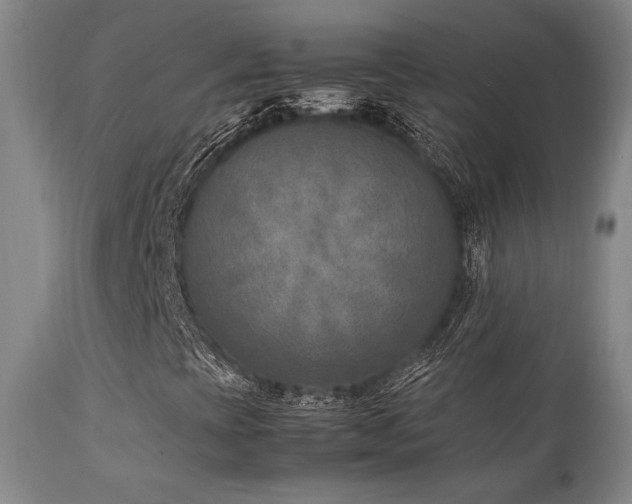 X0000111901393200907271146