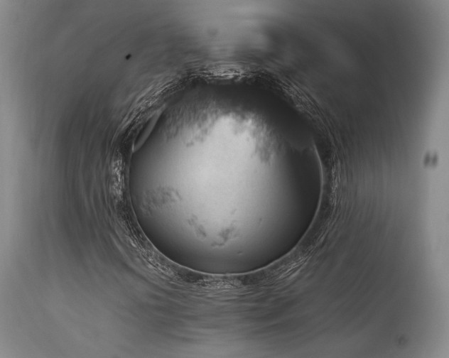 X0000111901394200907271146
