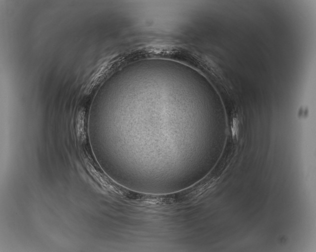 X0000111901396200907271146