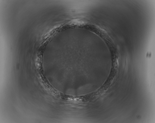 X0000111901397200907271146