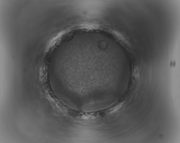 X0000111901398200907271146