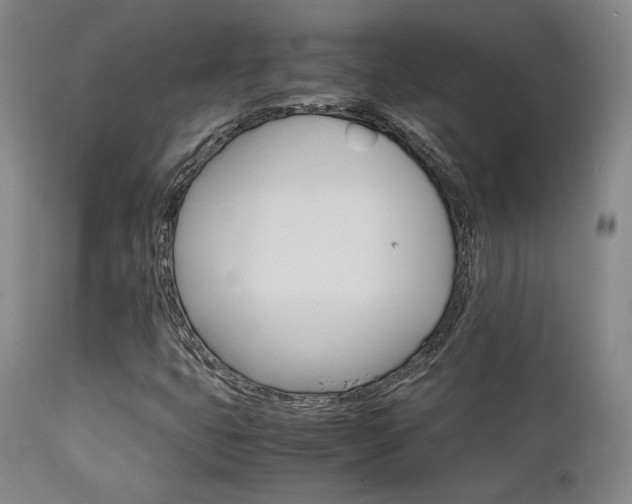 X0000111901399200907271146
