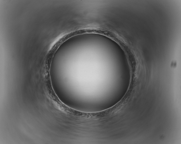 X0000111901400200907271146