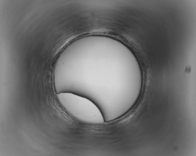 X0000111901401200907271146