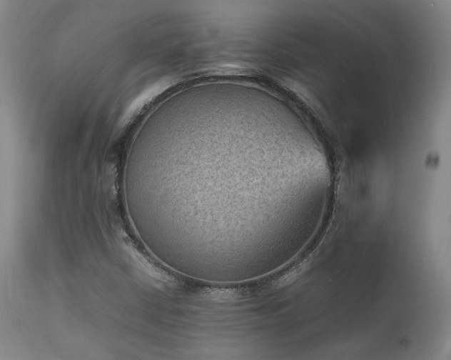 X0000111901402200907271146