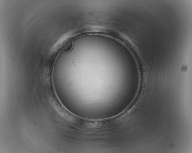 X0000111901403200907271146