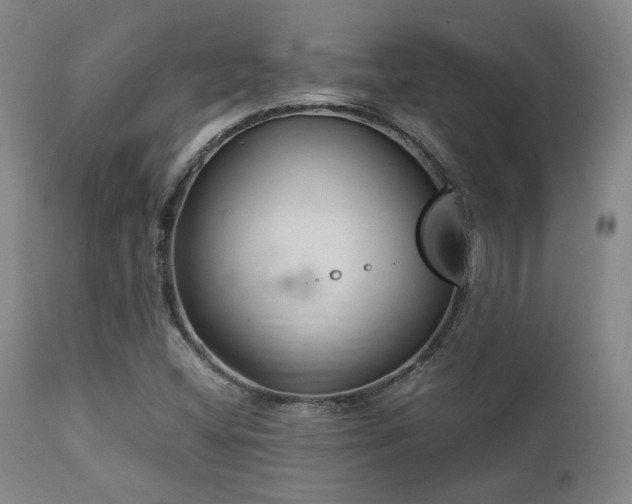 X0000111901404200907271146