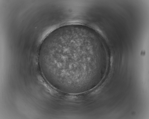 X0000111901405200907271146