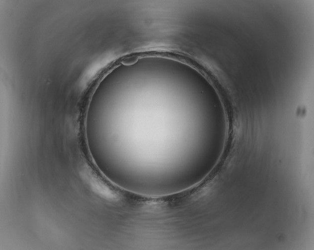 X0000111901406200907271146