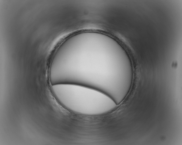 X0000111901408200907271146