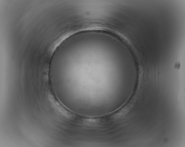 X0000111901409200907271146