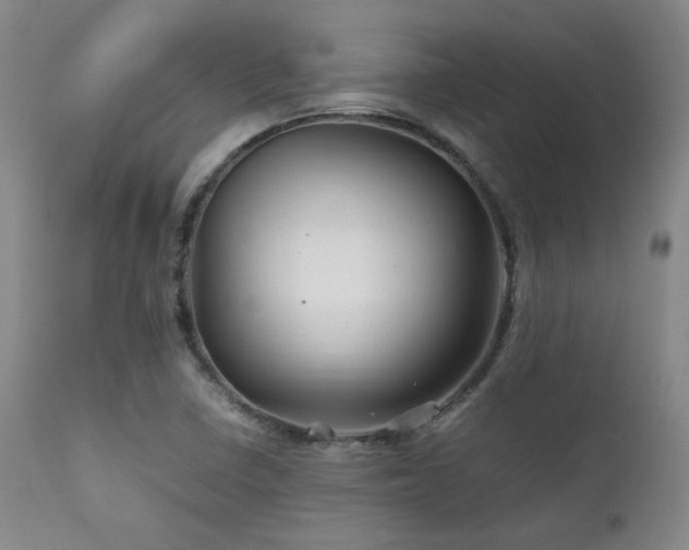 X0000111901410200907271146