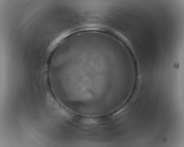 X0000111901411200907271146