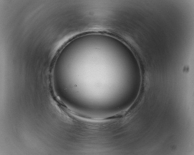 X0000111901412200907271146