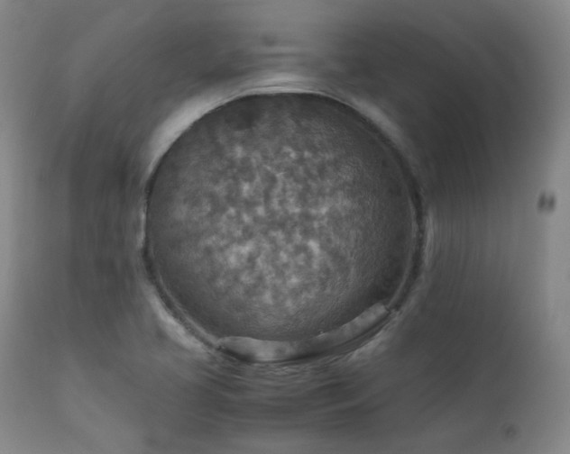 X0000111901413200907271146