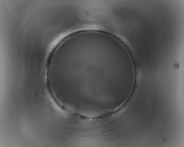 X0000111901414200907271146