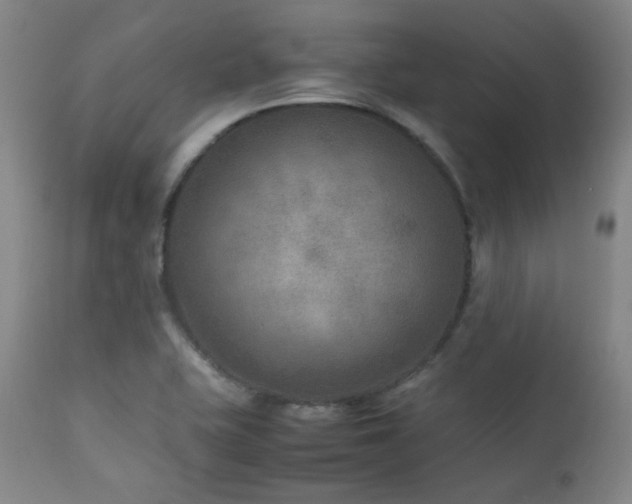 X0000111901415200907271146