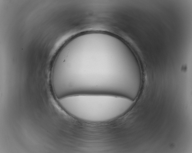 X0000111901416200907271146