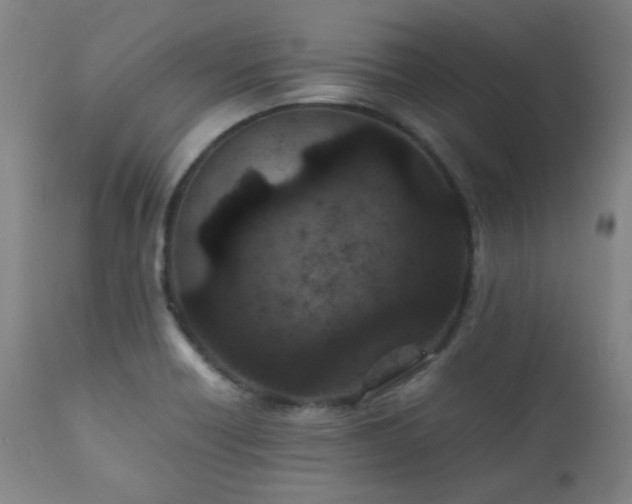 X0000111901418200907271146