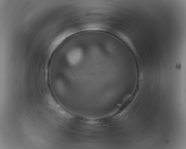 X0000111901419200907271146
