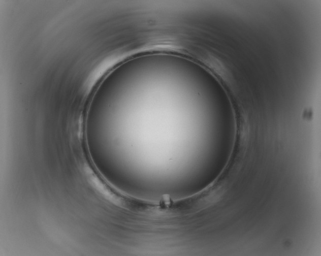 X0000111901420200907271146