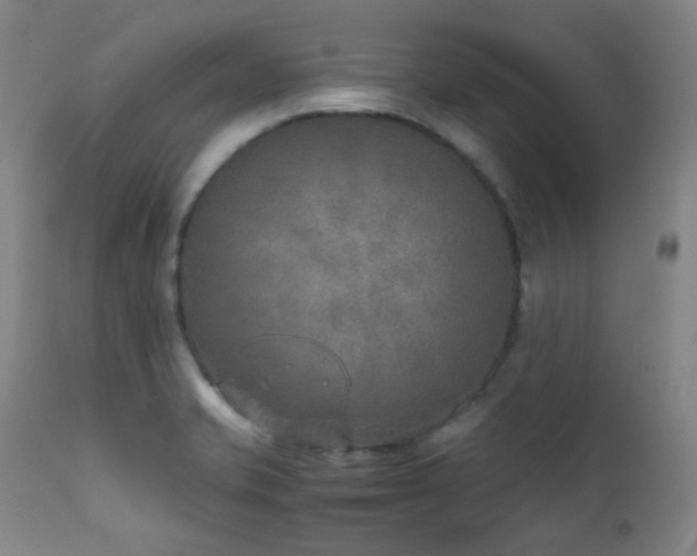 X0000111901421200907271146